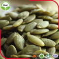 Health Food Raw Organic Gws Pumpkin Seeds Kernel